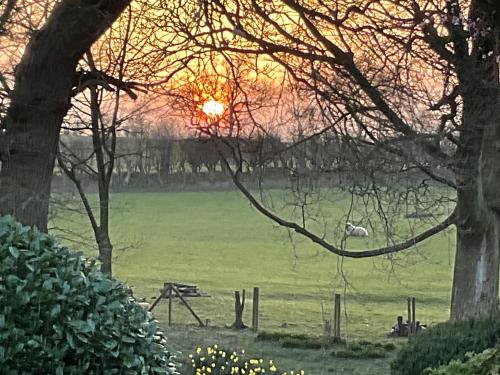 Fox Hill
