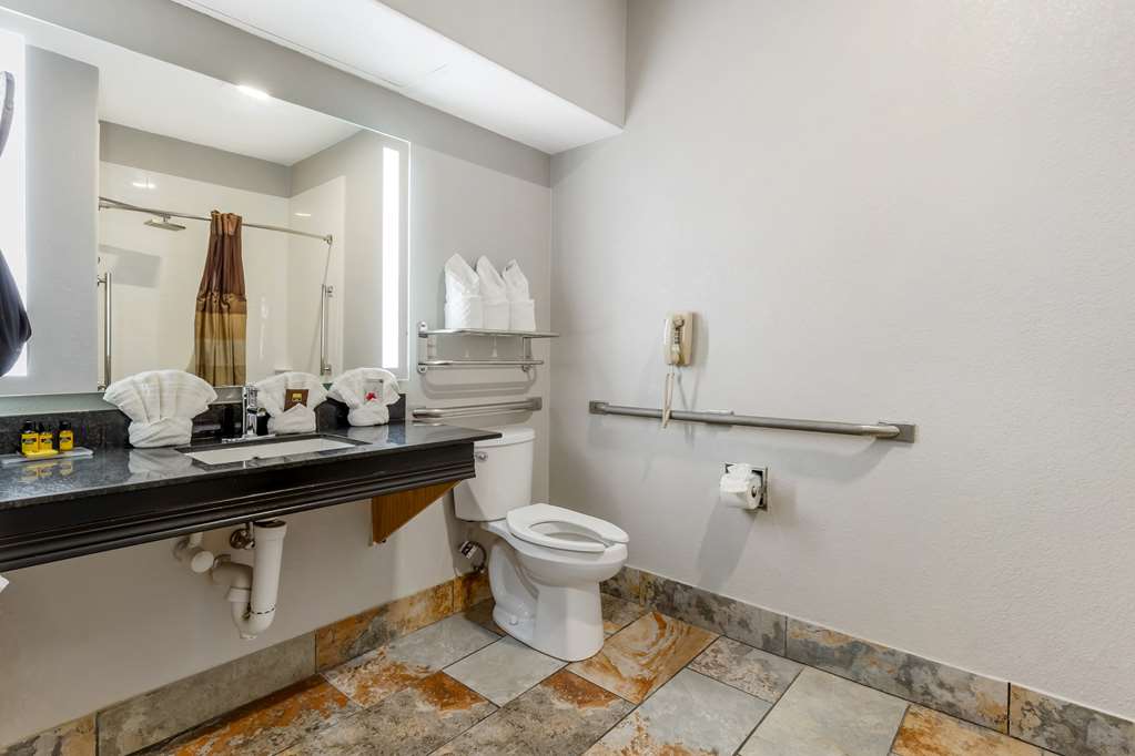 Best Western Plus Des Moines West Inn & Suites - photo 34