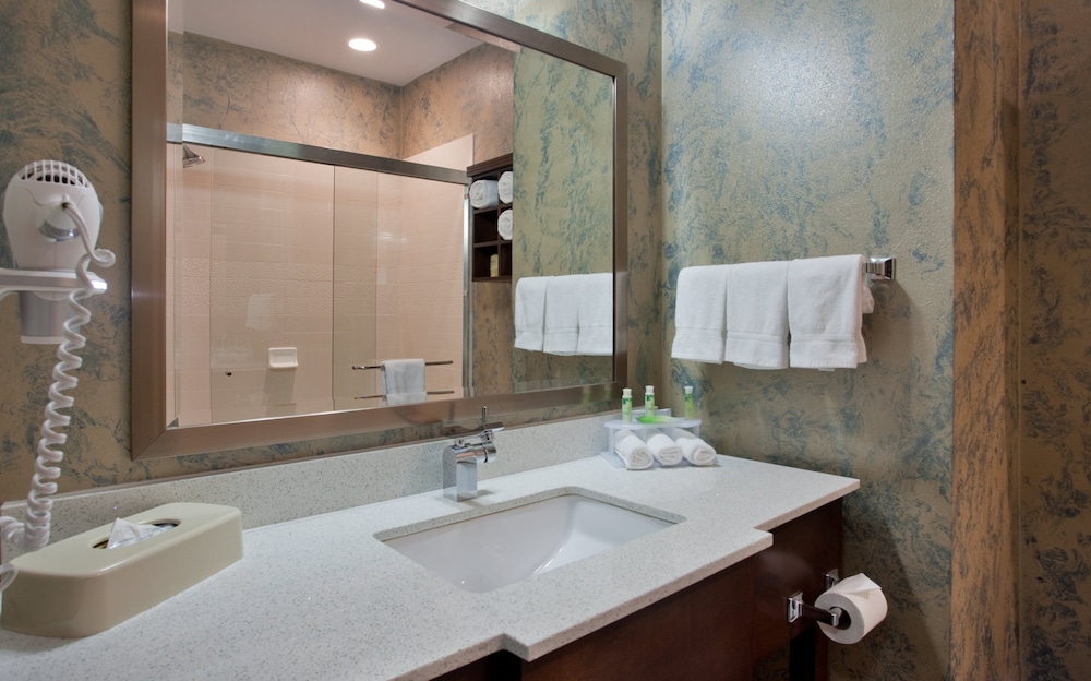 Holiday Inn Express & Suites St Louis Airport by IHG - photo 11