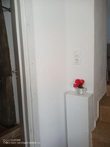 ”Renata” Studio — Kythnos — photo 5