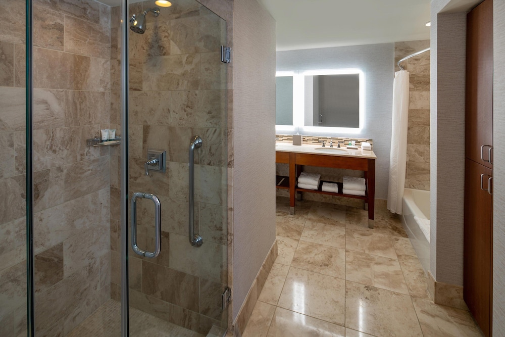 The Westin Houston Memorial City - photo 54