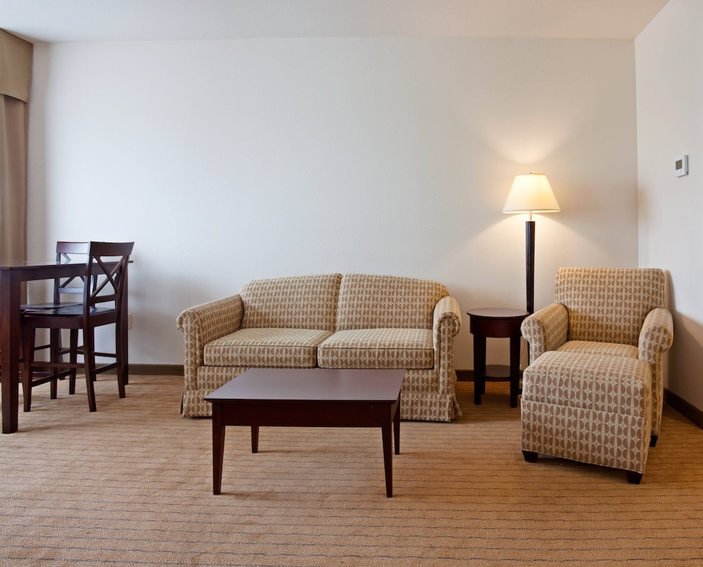 Holiday Inn Madison at The American Center by IHG - photo 8