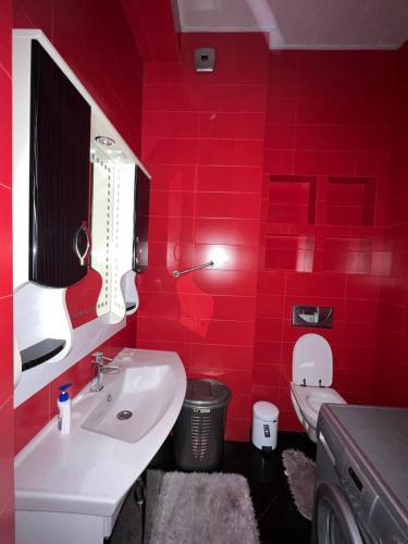 Apartment in the center of the city Vera