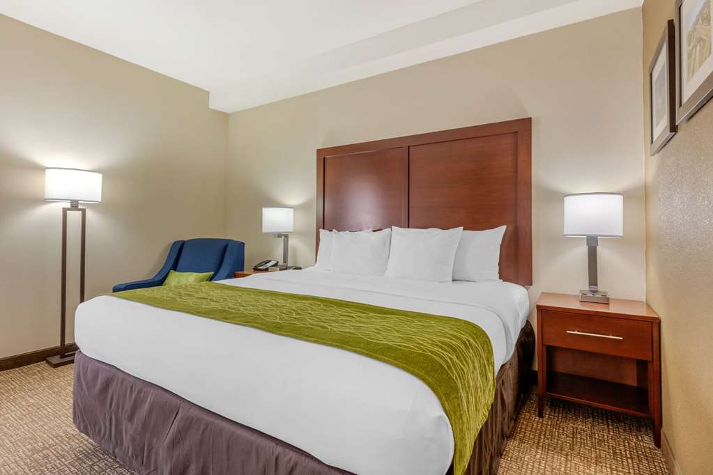 Comfort Inn Lenoir City Knoxville - photo 6