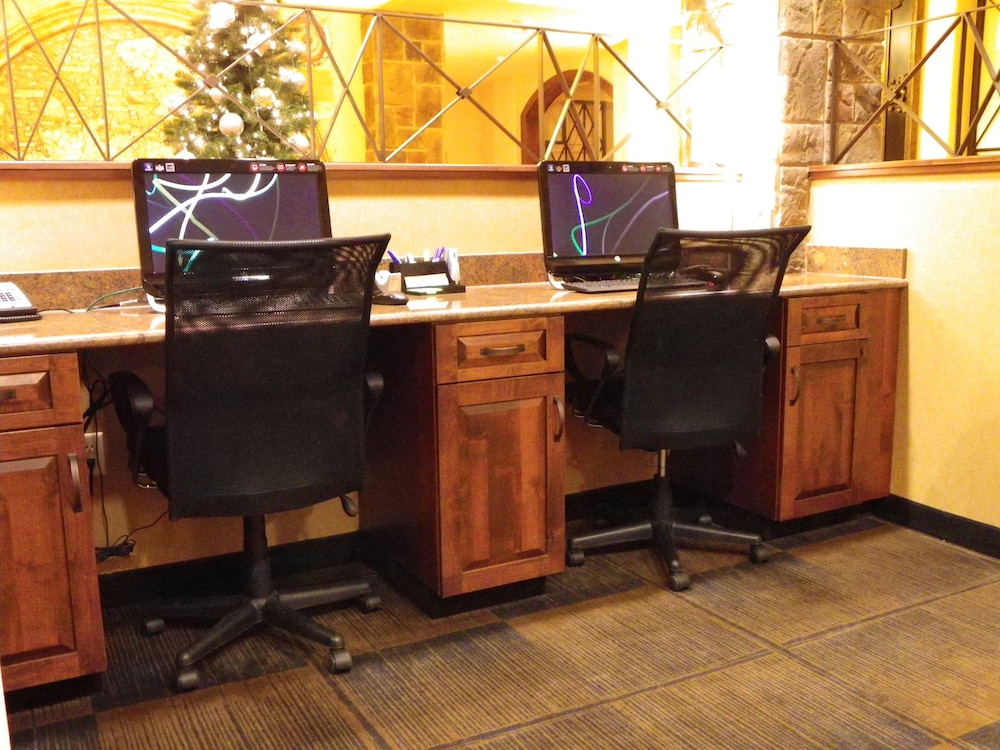 Holiday Inn Express & Suites Las Cruces North by IHG - photo 21