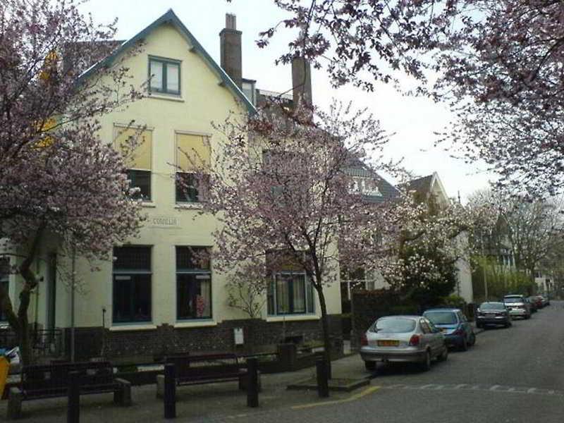 Villa Cornelia Apartment