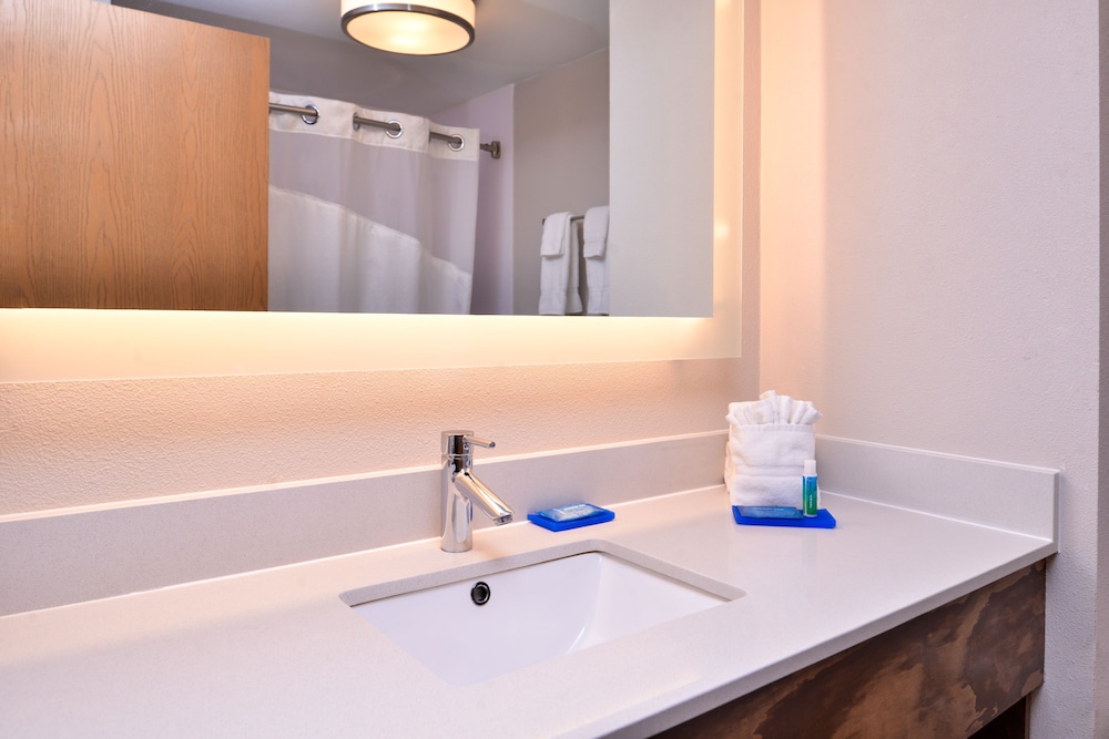 Holiday Inn Express Hotel & Suites Tampa Anderson Rd Veteran by IHG - photo 32