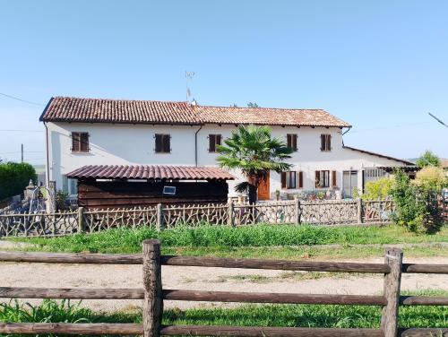 Le vigne in Asti, Italy