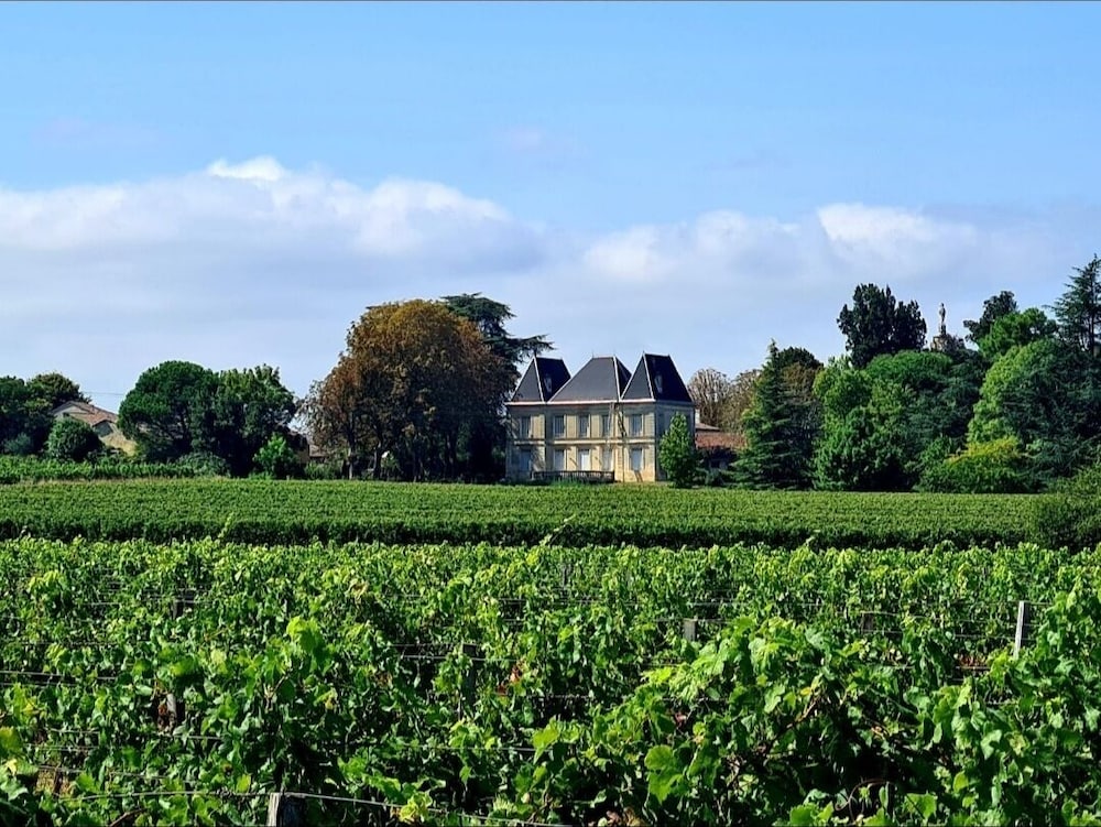 Chateau Tanesse de Tourny — hotel in Le Pian-Medoc