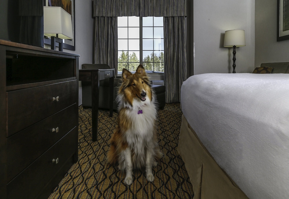 Holiday Inn West Yellowstone by IHG. - photo 10
