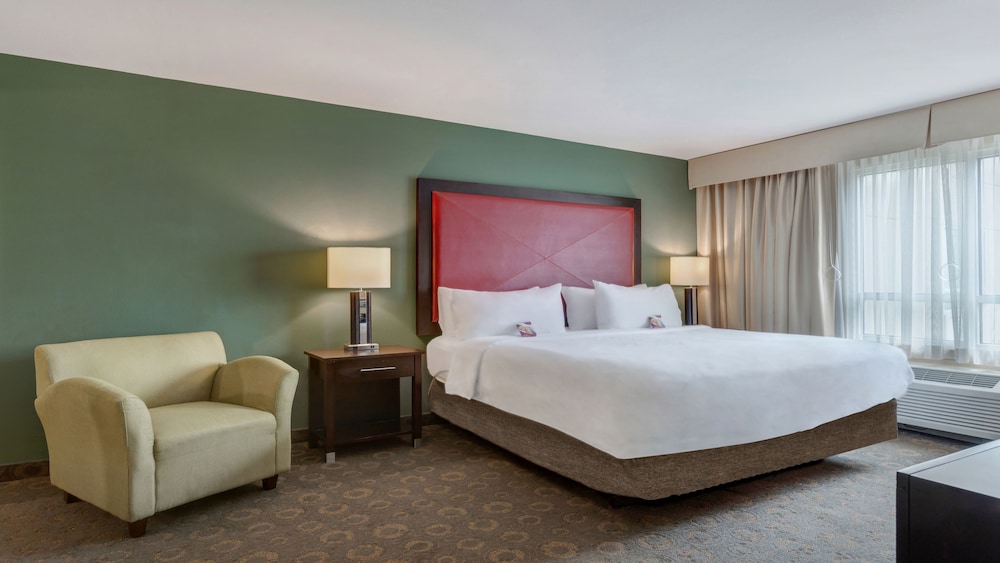 Crowne Plaza Houston Galleria Area by IHG - photo 21