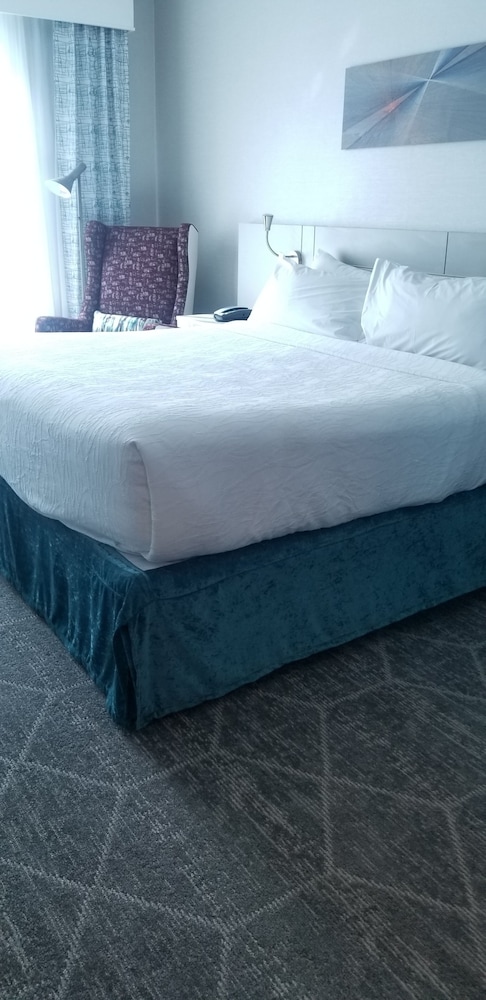 Hilton Garden Inn Colorado Springs Downtown - photo 6