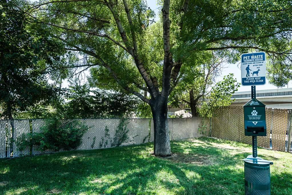 Motel 6 Reno Airport Sparks - photo 5