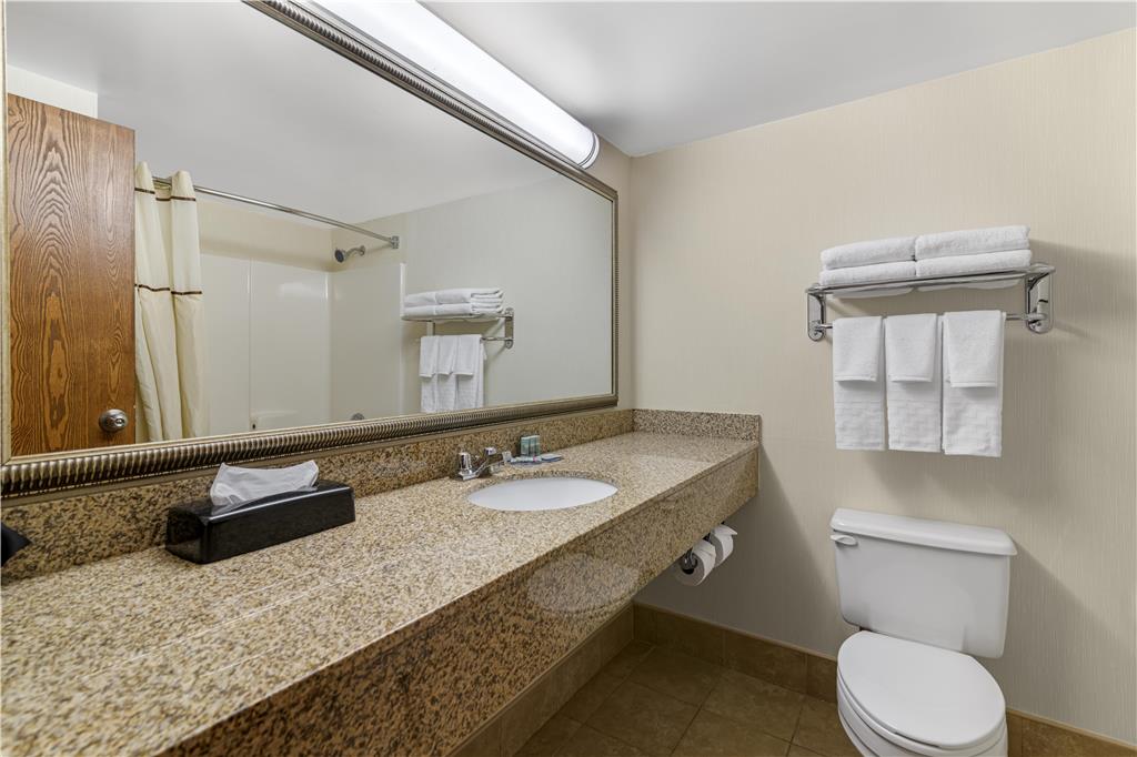 Best Western Royal Plaza Hotel & Trade Center - photo 26