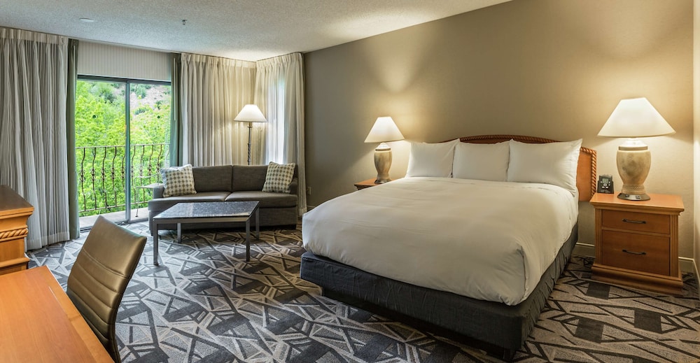 DoubleTree by Hilton Durango - photo 7