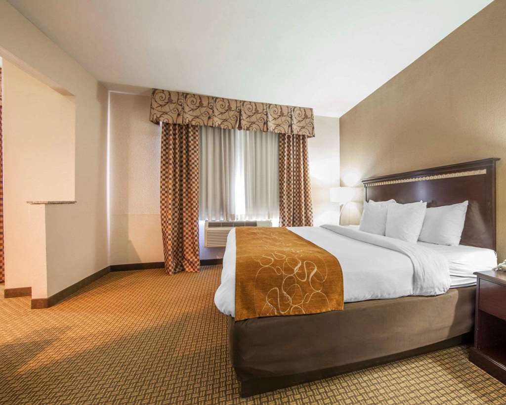 Comfort Suites London South - photo 21