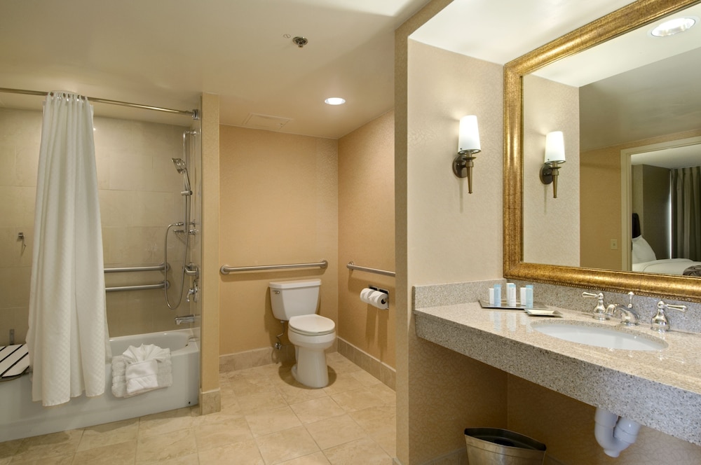 Embassy Suites by Hilton Phoenix Downtown North - photo 28