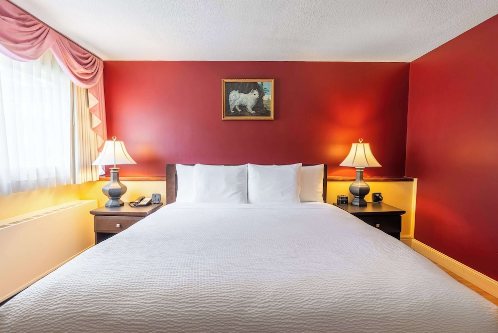 Fireside Inn & Suites Waterville - photo 12