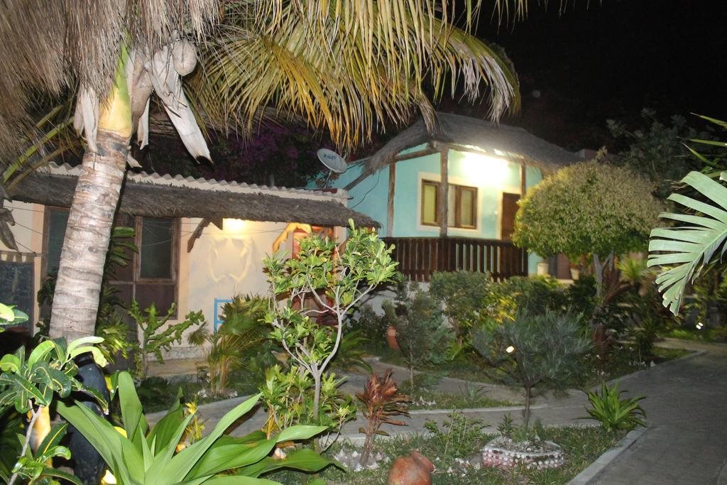 Dolphin Dhow Safaris in Ilha De Mocambique, Mozambique