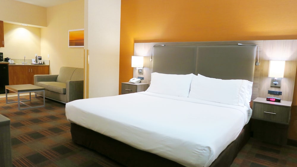 Holiday Inn Express & Suites Elk Grove Central Hwy 99 by IHG - photo 12