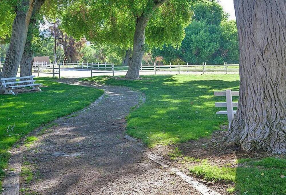 Soledad Canyon RV & Camping Resort - photo 14