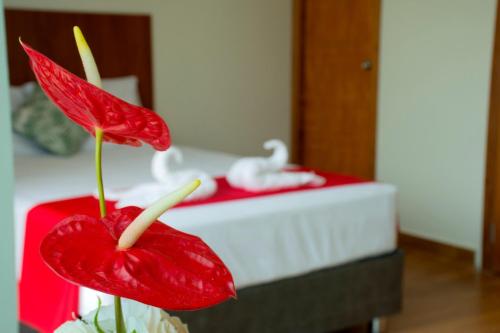 Hotel La Palmera De Oro in Tarapoto, Peru