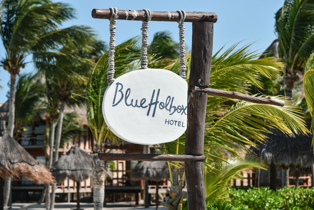Blue Holbox