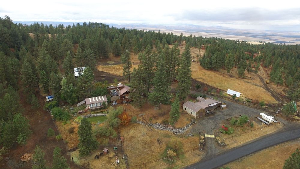 Whitebird Summit Lodge - photo 15