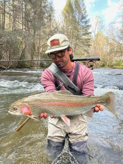 Mountaintown Creek Lodge Creek Front Fish Cabin Creekside Relaxation With Fishing Firepit Hot Tub Free Standing Gas Heate — 4-Star Luxury Hotel in Ellijay, United States