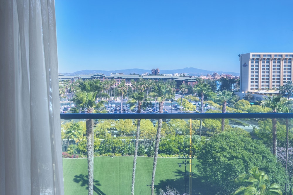Disneyland Hotel - photo 39