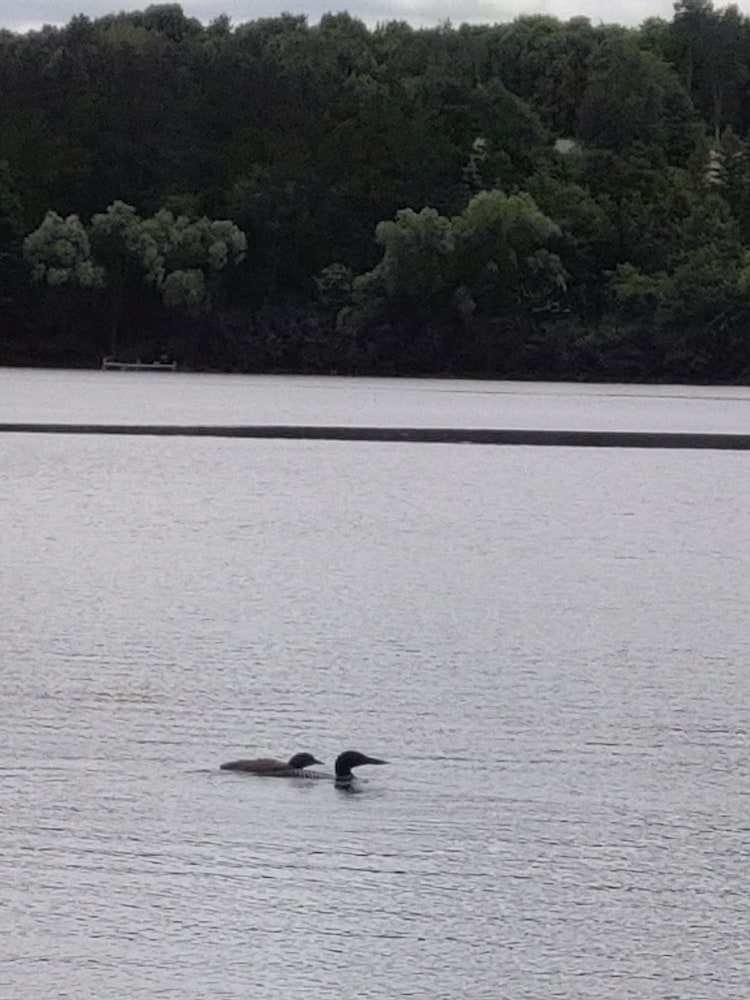 Lakeshore Motel Ice Lake - photo 37