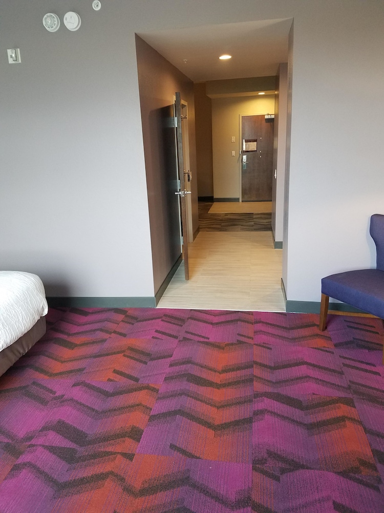 Hilton Garden Inn Tampa Suncoast Parkway - photo 38