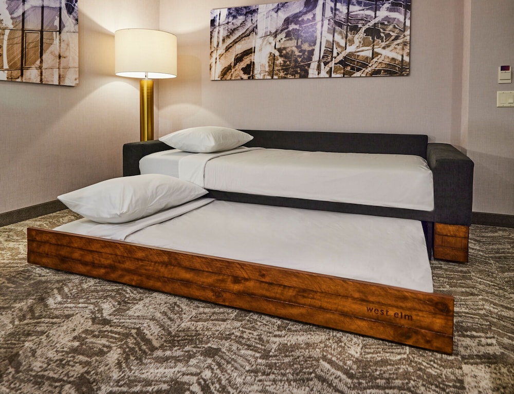 SpringHill Suites by Marriott Baton Rouge Gonzales - photo 18