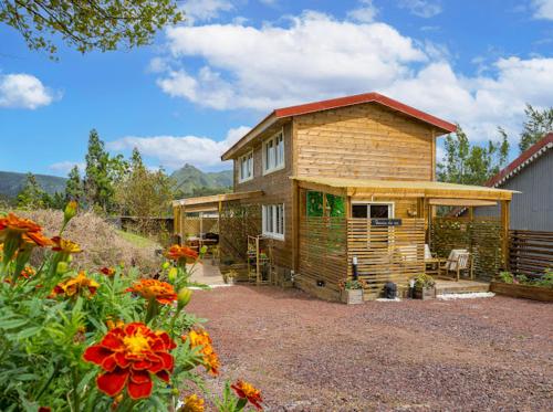 Plaine des Palmiste n1 in Unknown City, Réunion