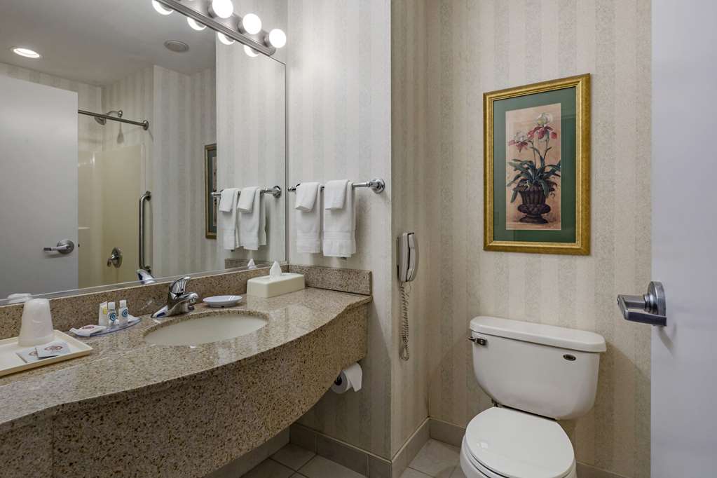 Comfort Inn & Suites East Greenbush Albany - photo 25