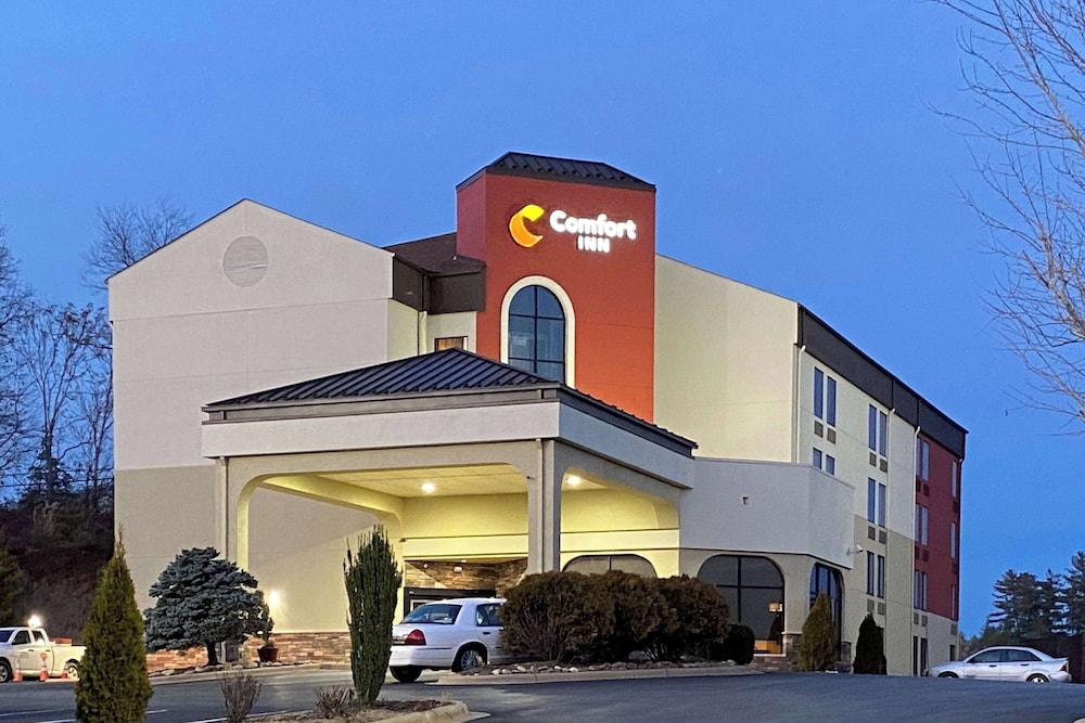 Comfort Inn North of Asheville - photo 68