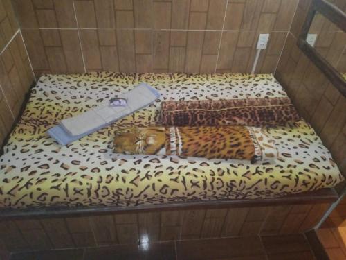 Suíte in Paty Do Alferes, Brasil