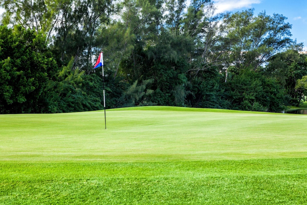 The Resort at Longboat Key Club - photo 55