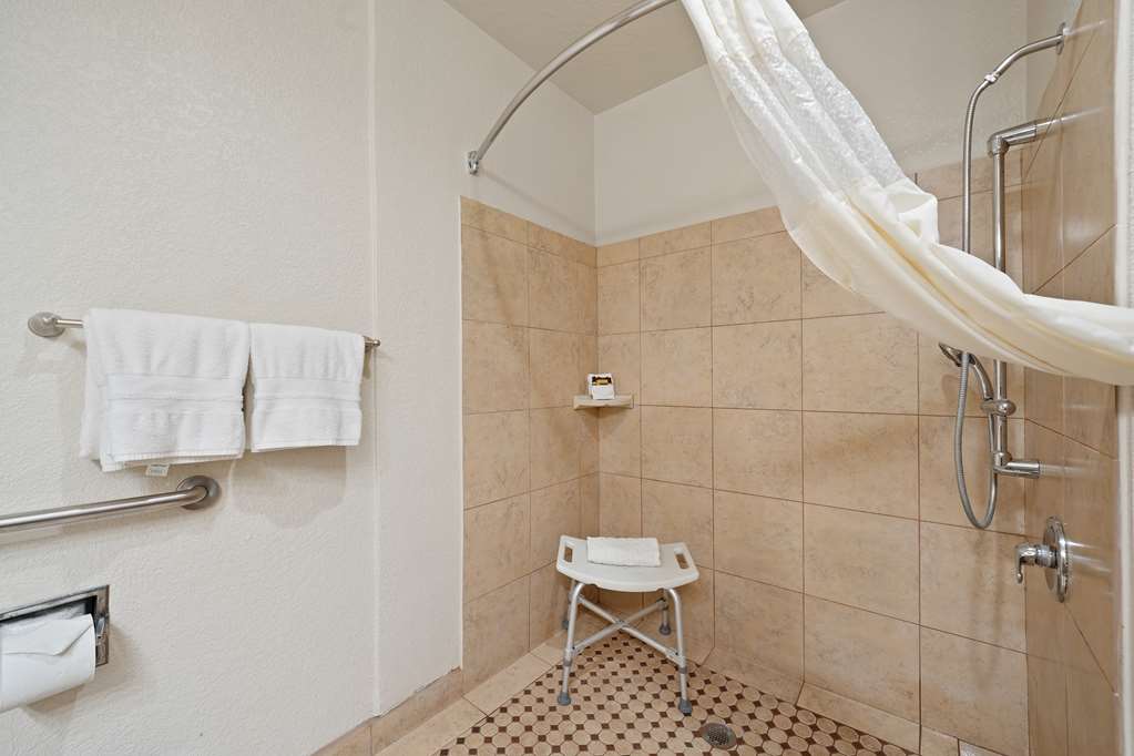 Best Western Plus Executive Inn & Suites - photo 46