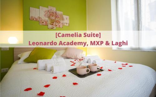 Camelia Radice Comfort Apartments Leonardo MXP & Laghi — 4-Star Luxury Hotel in Sesto Calende, Italy