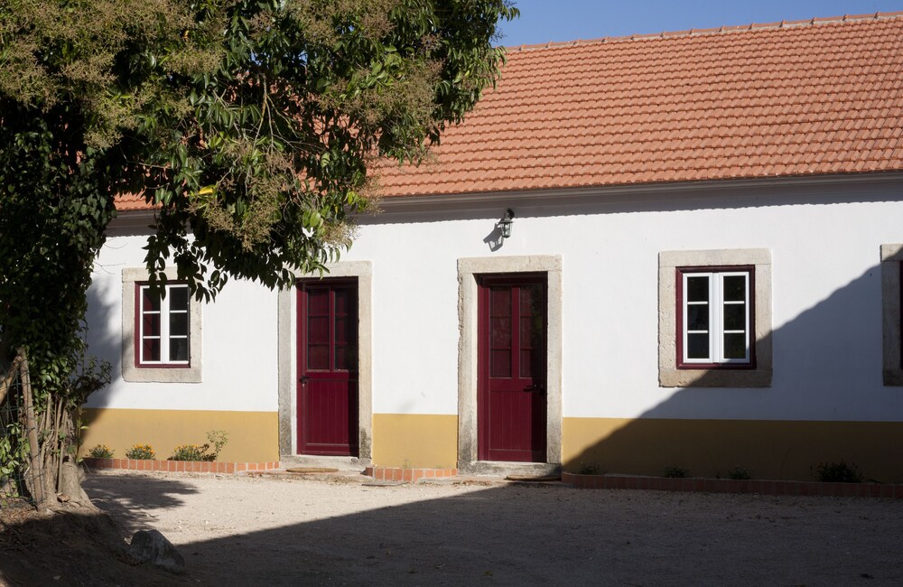 Quinta dos Álamos Agroturismo — Golega — photo 4