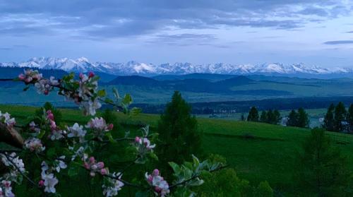 KOZA U WOZA drewniany dom premium z widokiem na Tatry ecoSPA strefa fitness ZIELONA FARMA healinggarden slowTRAVEL — hotel in Klikuszowa