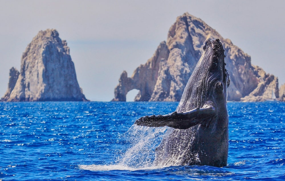 Ecotours