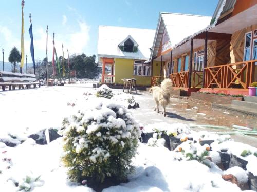 Royal Barsey Okhrey - last minute hotel in Darjiling