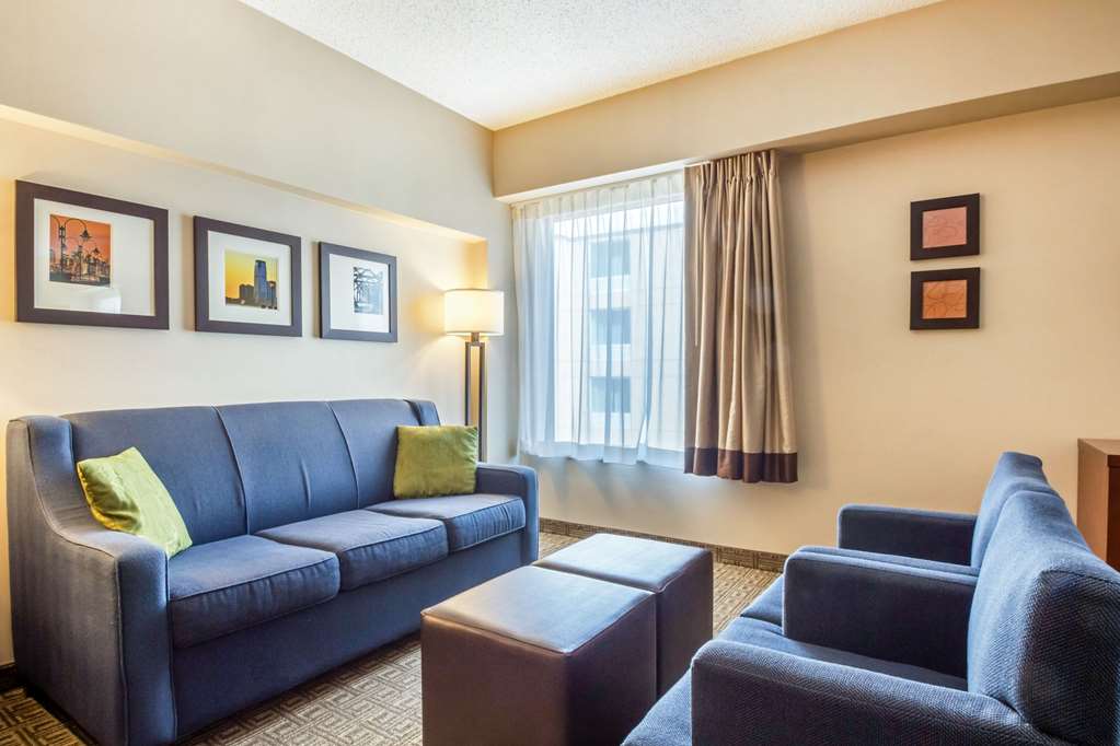 Comfort Suites at Woodbridge - photo 29