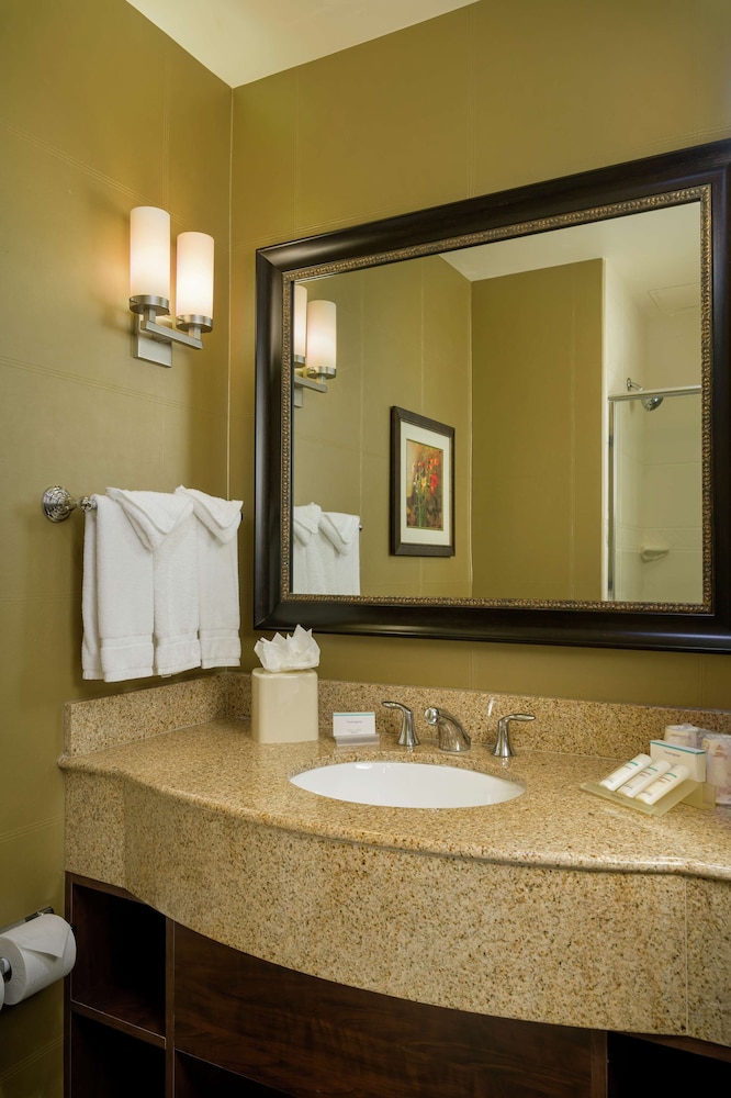 Hilton Garden Inn Phoenix Airport North - photo 21