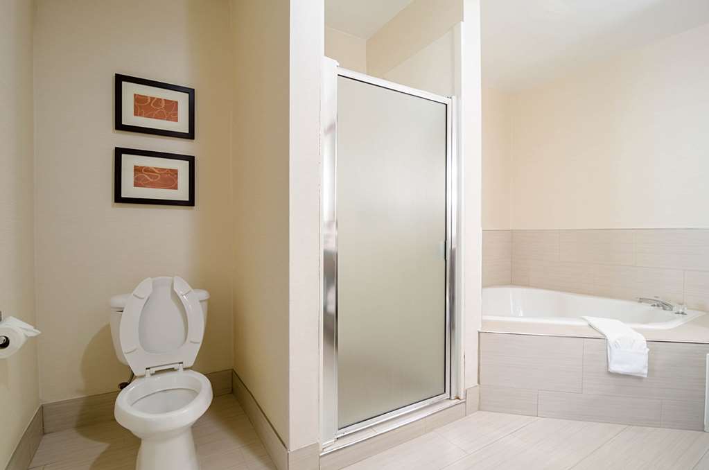 Comfort Suites Innsbrook Short Pump - photo 8
