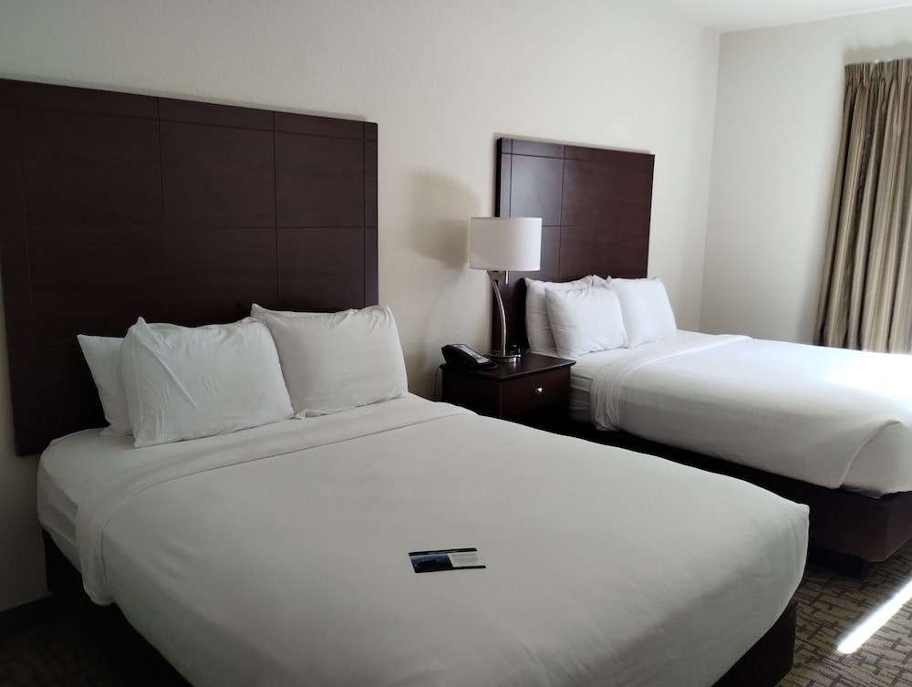 Cobblestone Hotel & Suites Greenville - photo 9