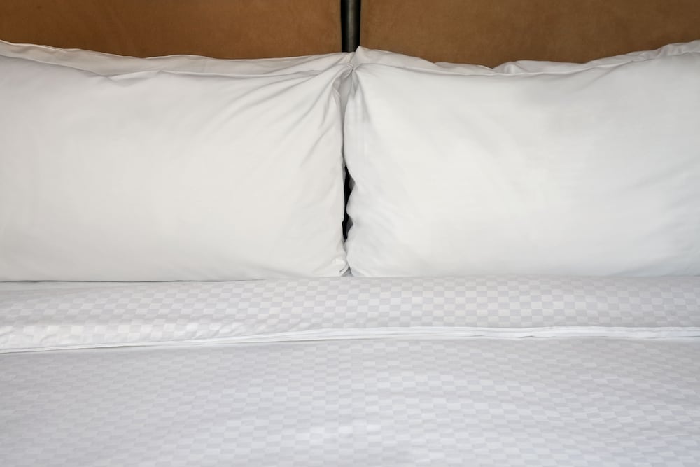 Four Points by Sheraton Philadelphia Northeast - photo 6