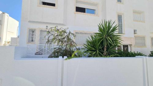Dar Narcisse — 4-Star Luxury Hotel in Nabeul, Tunisia